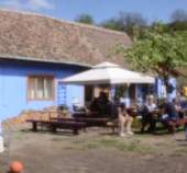 TRANSYLVANIAN BRUNCH PINHOLE TRIP