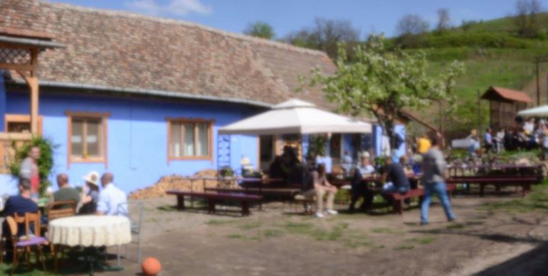 TRANSYLVANIAN BRUNCH PINHOLE TRIP