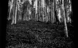 VALIUG PINHOLE EXPOSURE (2)